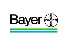 Internship at Bayer for C3S Business School Students